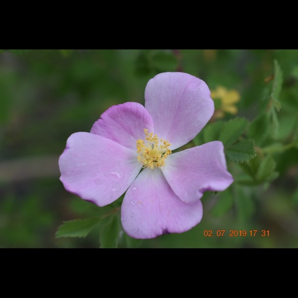 Elise💎🐋🧬💠🗺🌀🎽 - Picture 2 of 4